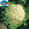 Cauliflower